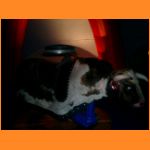 sommerdisco200522071a.html