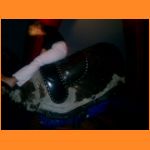 sommerdisco200522071z2.html