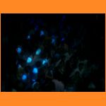 sommerdisco200529071i.html